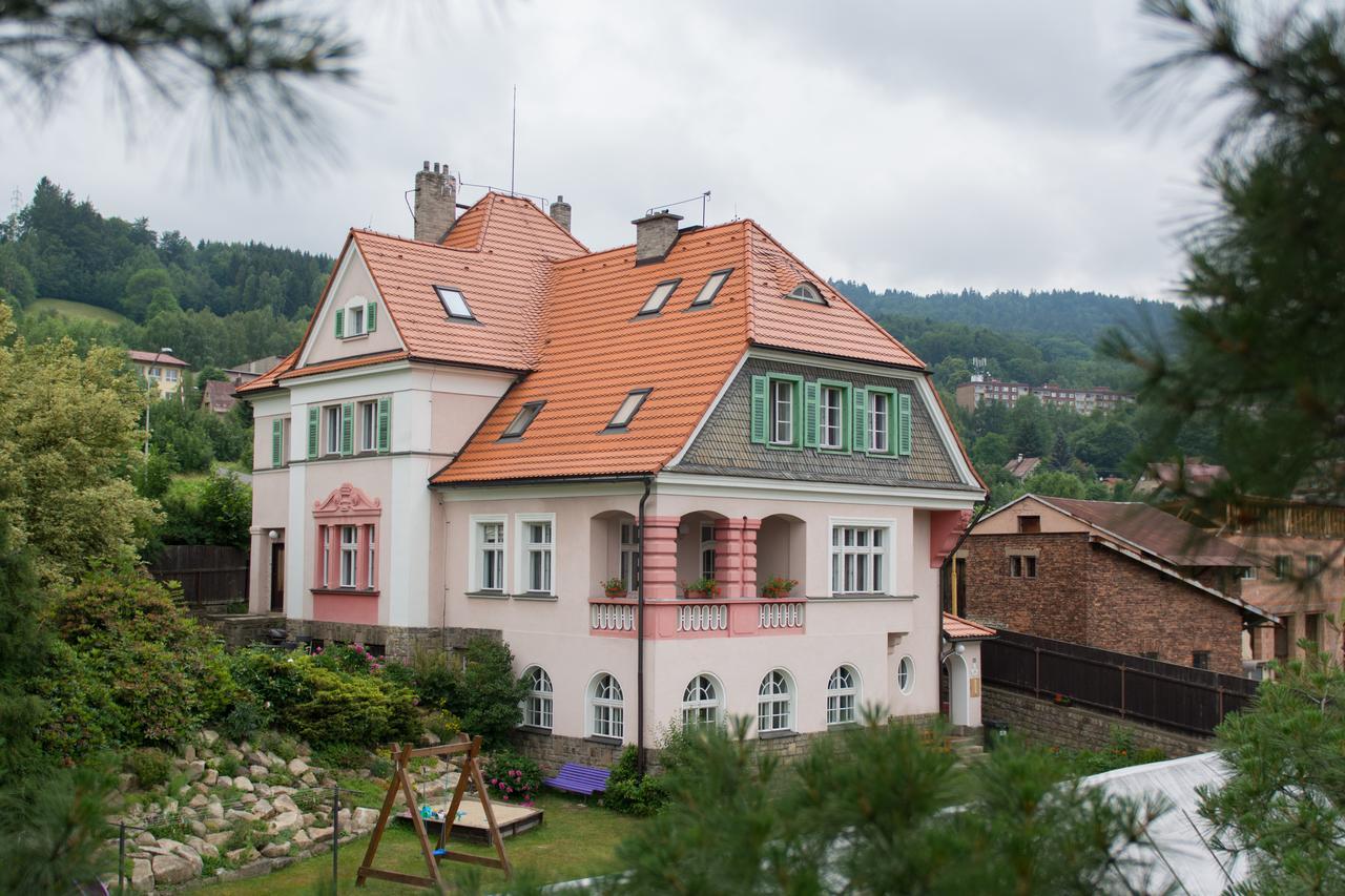 Penzion Signum Laudis Hotel Velké Hamry Buitenkant foto