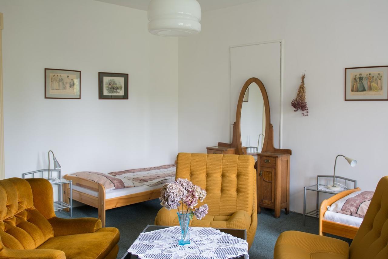 Penzion Signum Laudis Hotel Velké Hamry Buitenkant foto