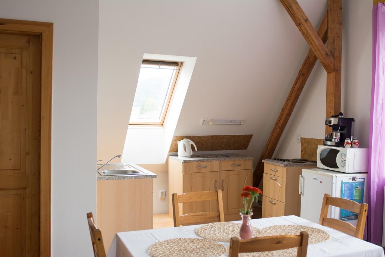 Penzion Signum Laudis Hotel Velké Hamry Buitenkant foto