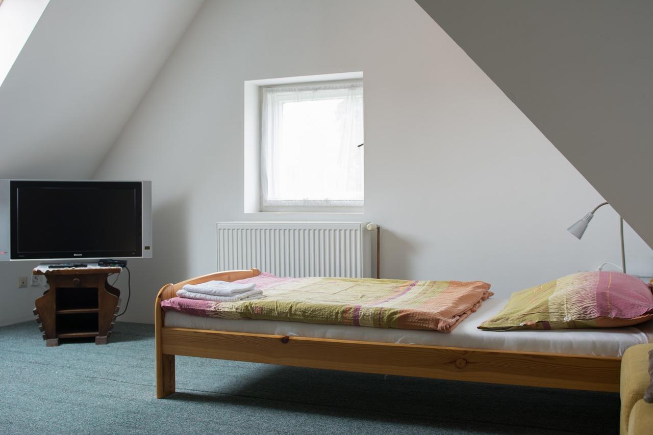 Penzion Signum Laudis Hotel Velké Hamry Buitenkant foto
