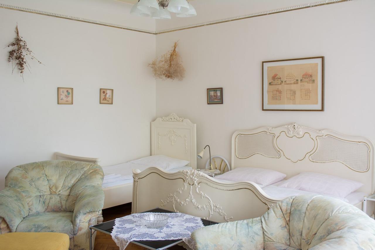 Penzion Signum Laudis Hotel Velké Hamry Buitenkant foto