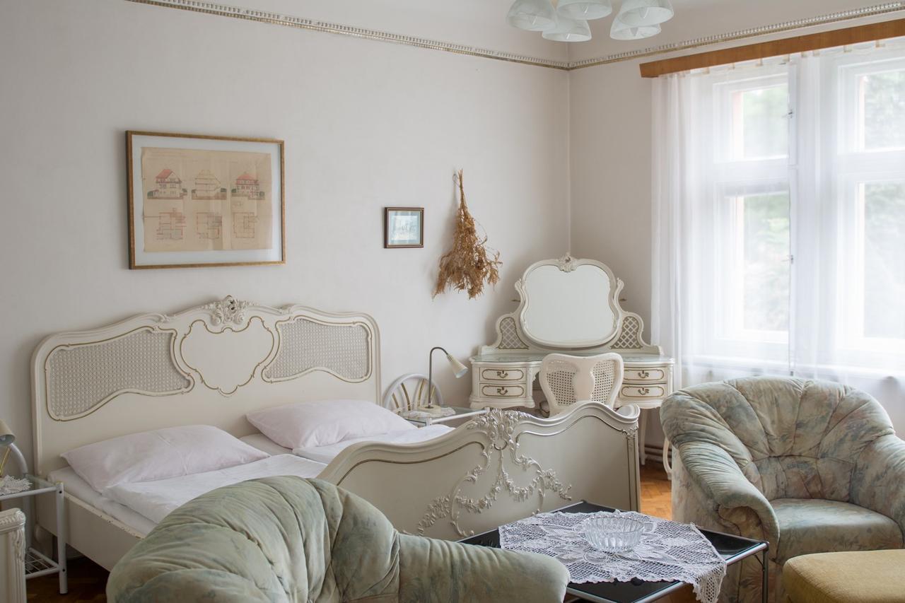 Penzion Signum Laudis Hotel Velké Hamry Buitenkant foto