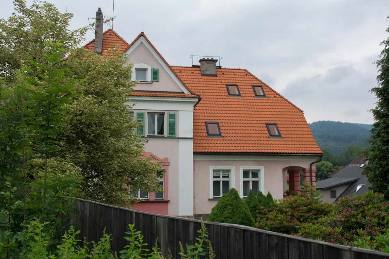 Penzion Signum Laudis Hotel Velké Hamry Buitenkant foto