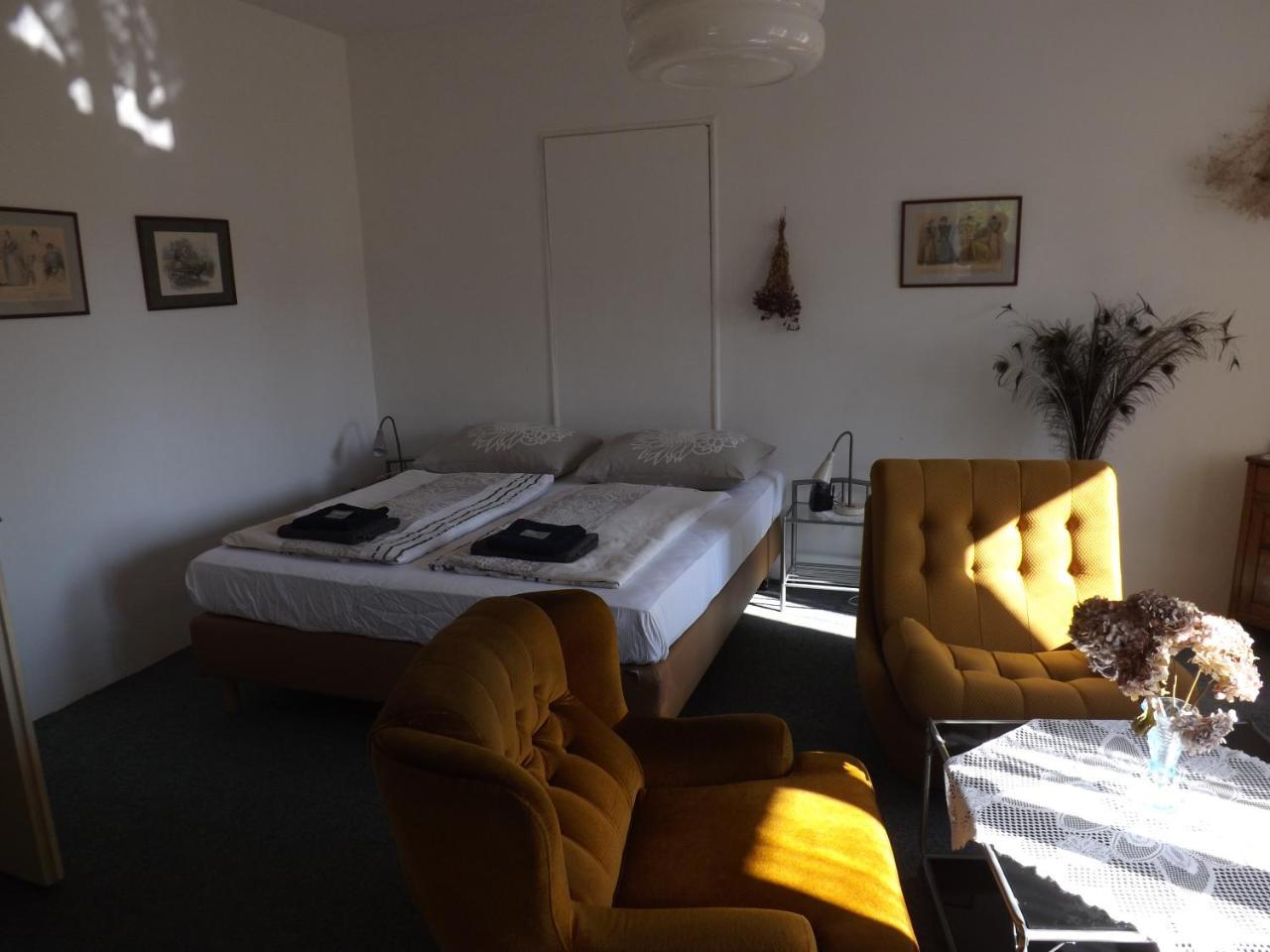 Penzion Signum Laudis Hotel Velké Hamry Buitenkant foto